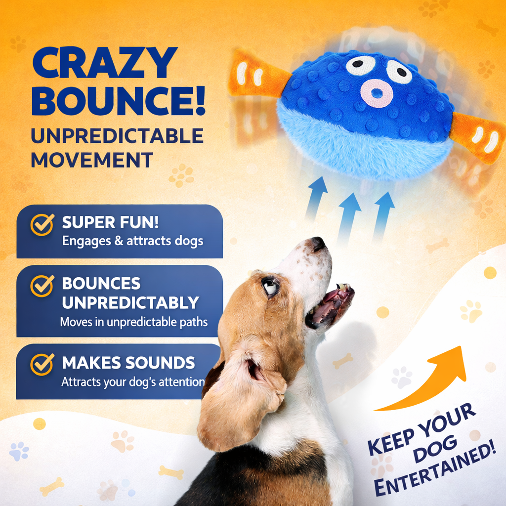 Solyball™ Zoomigo Smart Interactive Toy
