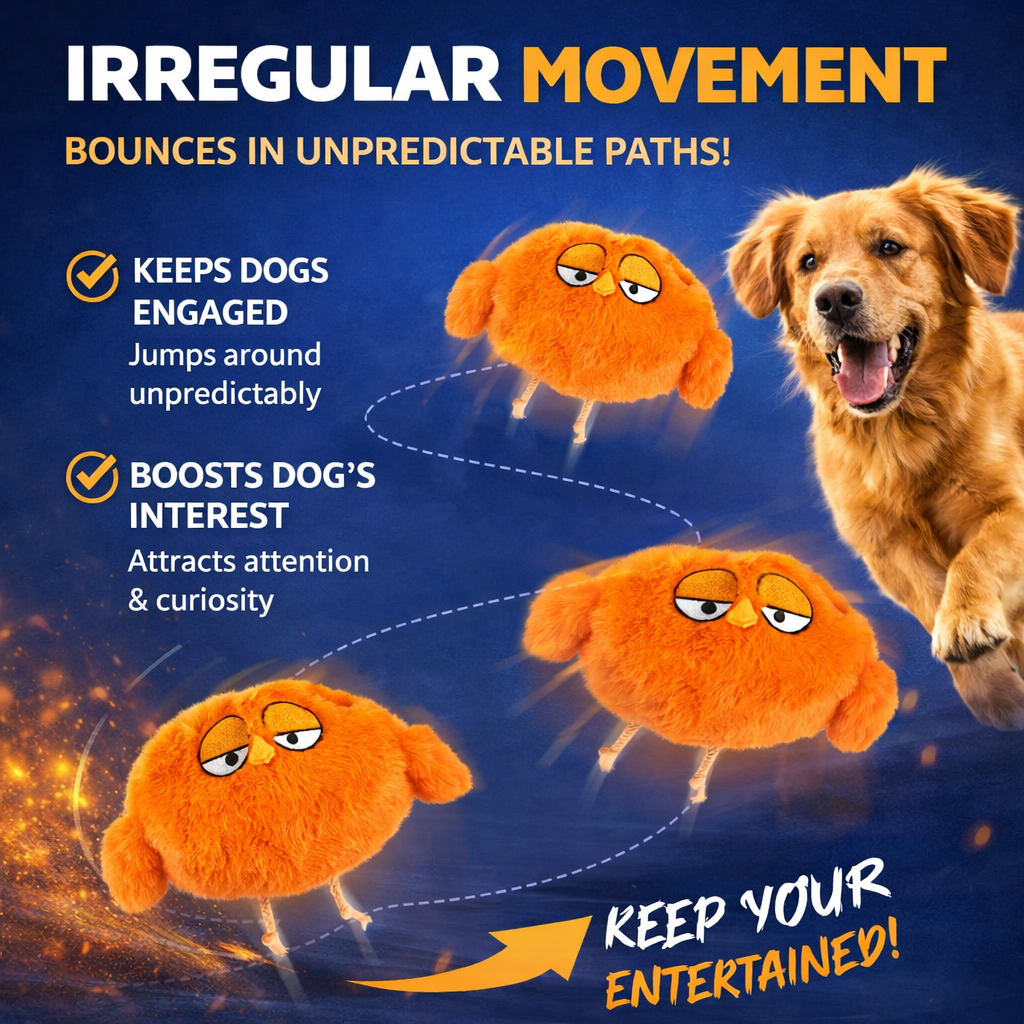 Solyball™ Zoomigo Smart Interactive Toy