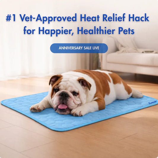 Fanyil™ DreamPaws CoolBreath Mat